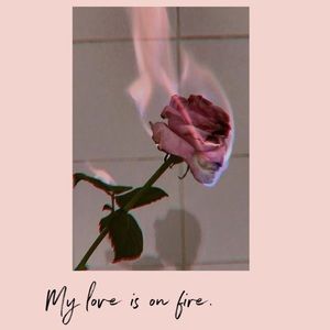 Meet your Posher, Daniela